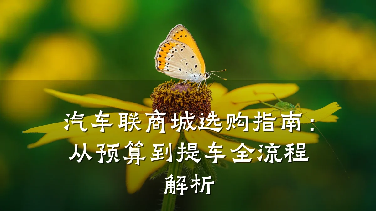 汽车联商城选购指南：从预算到提车全流程解析