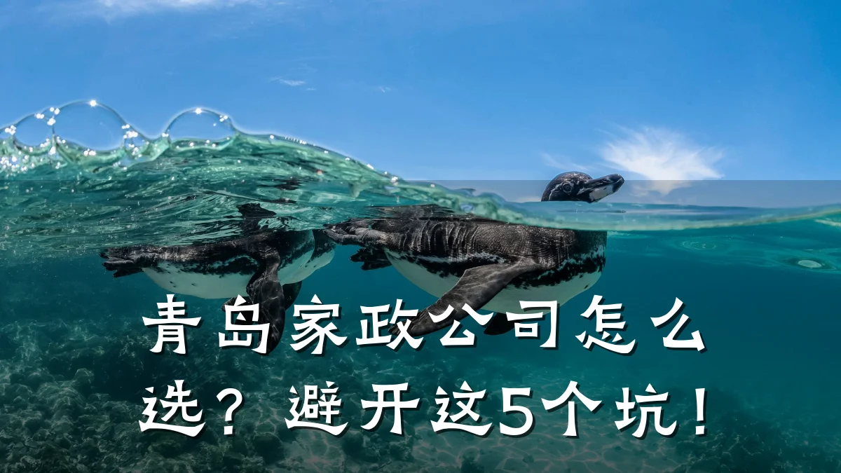 青岛家政公司怎么选?避开这5个坑!