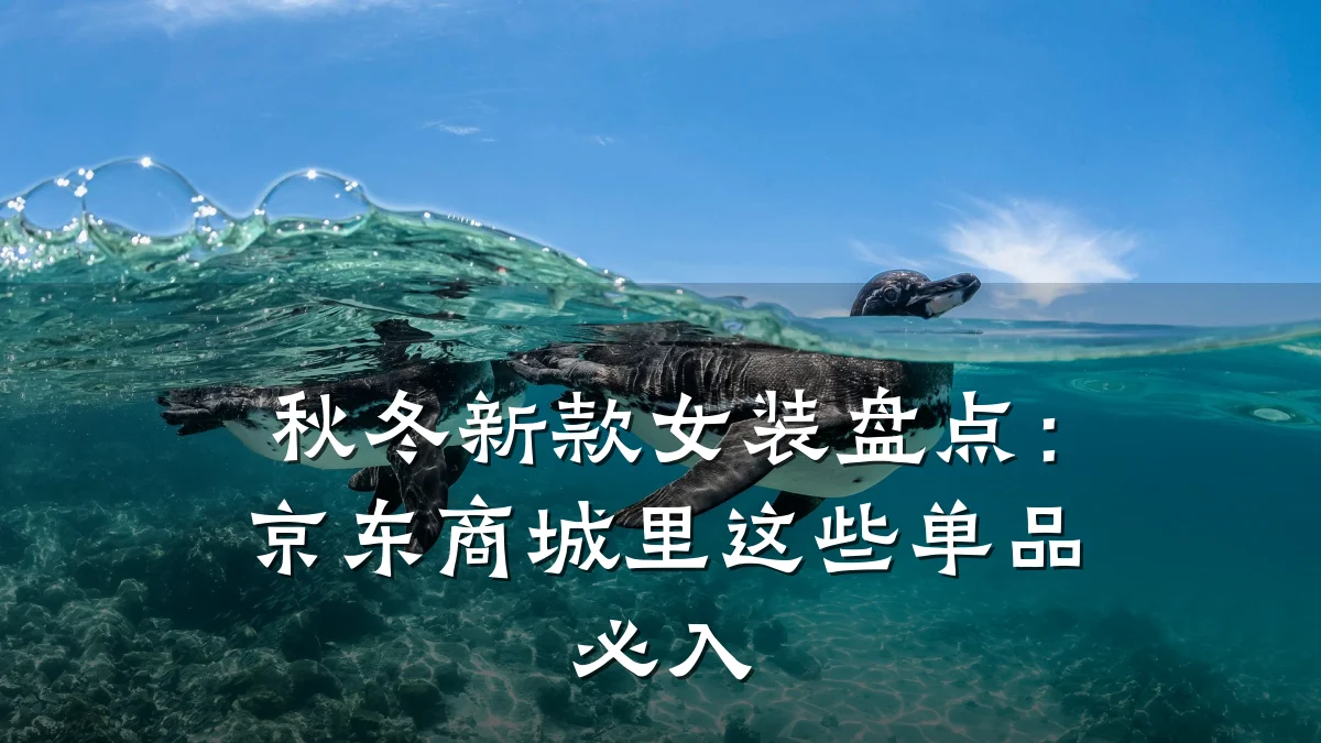 秋冬新款女装盘点:京东商城里这些单品必入