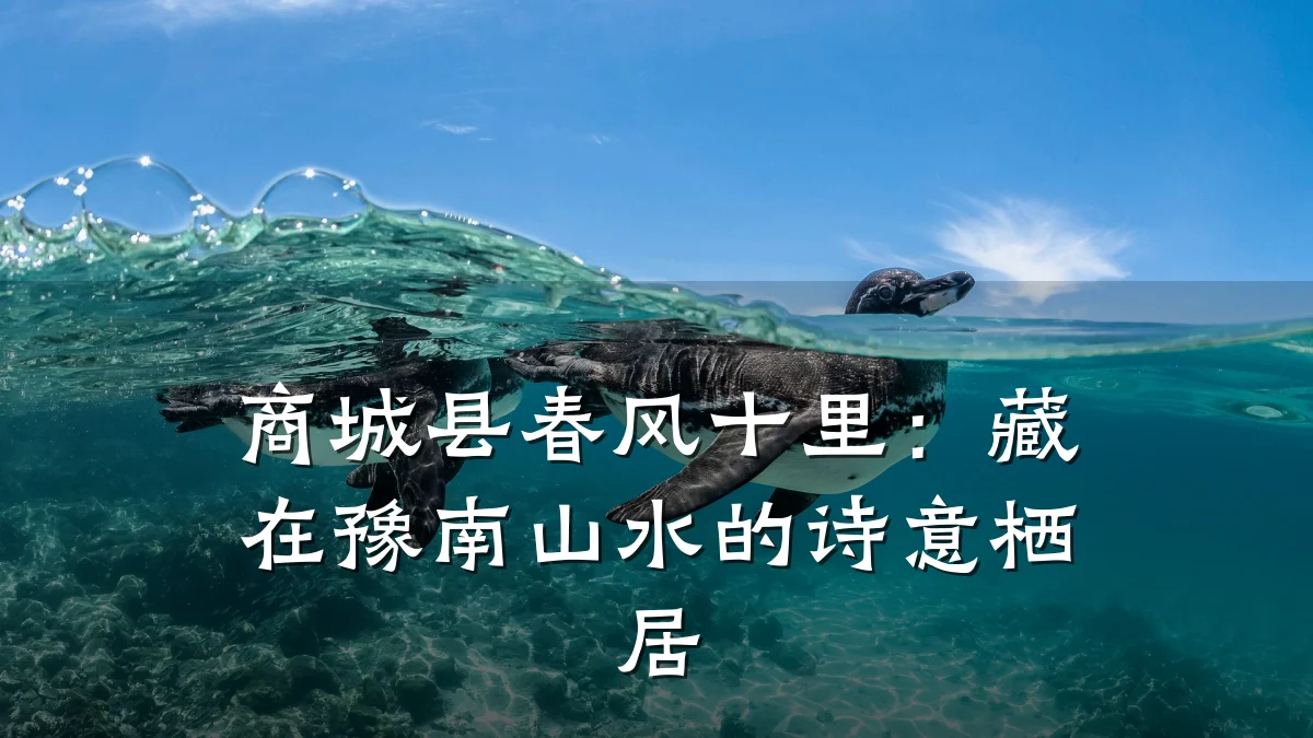 商城县春风十里:藏在豫南山水的诗意栖居