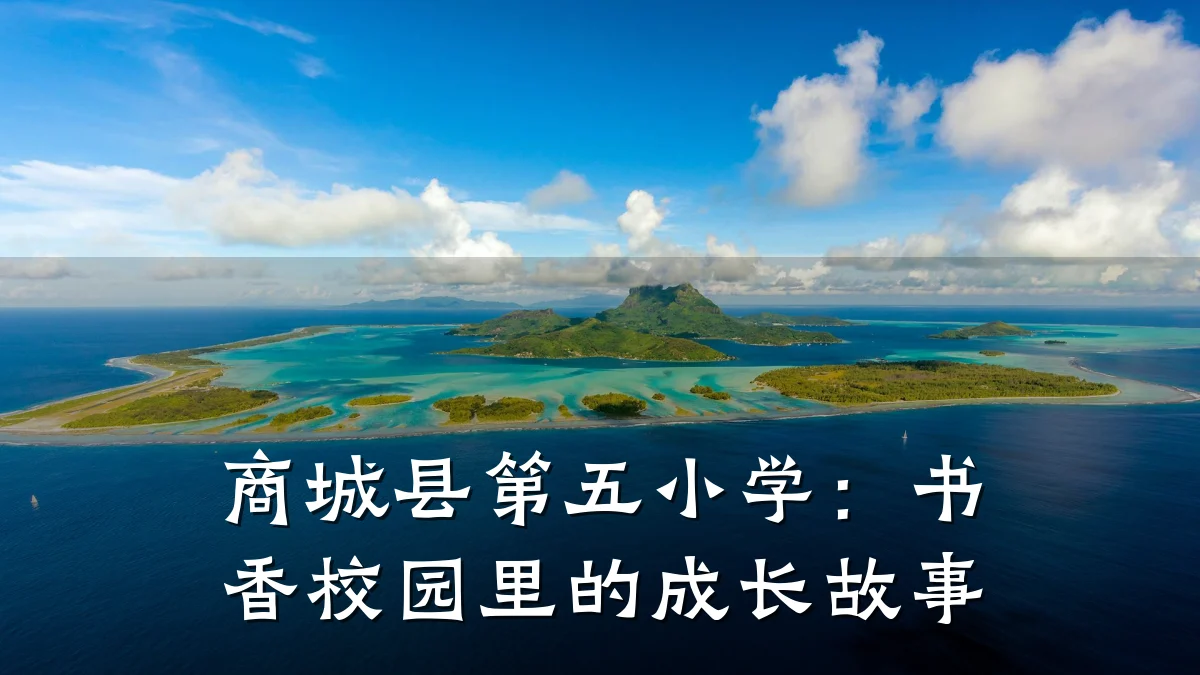 商城县第五小学：书香校园里的成长故事