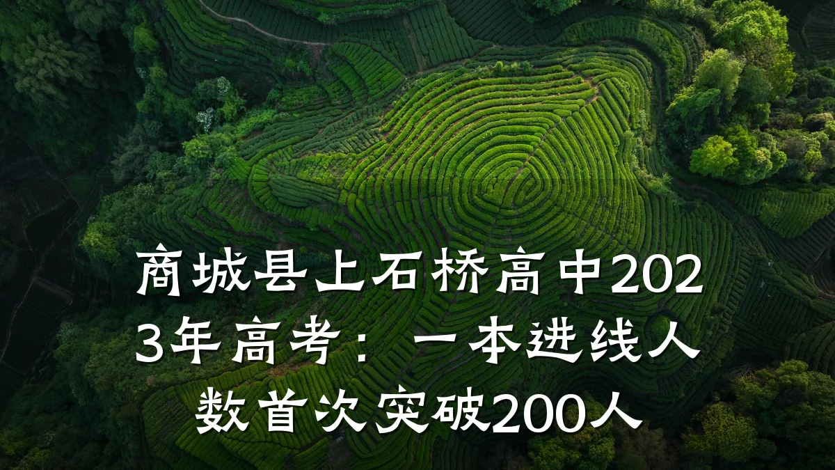 商城县上石桥高中2023年高考：一本进线人数首次突破200人