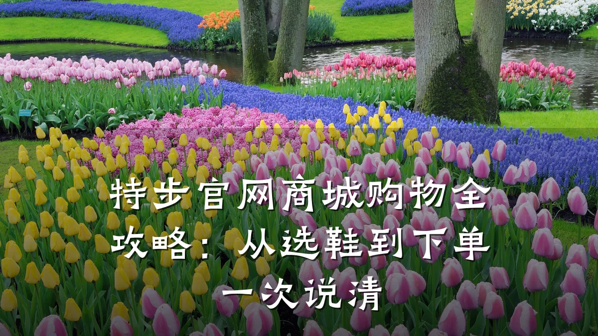 特步官网商城购物全攻略：从选鞋到下单一次说清