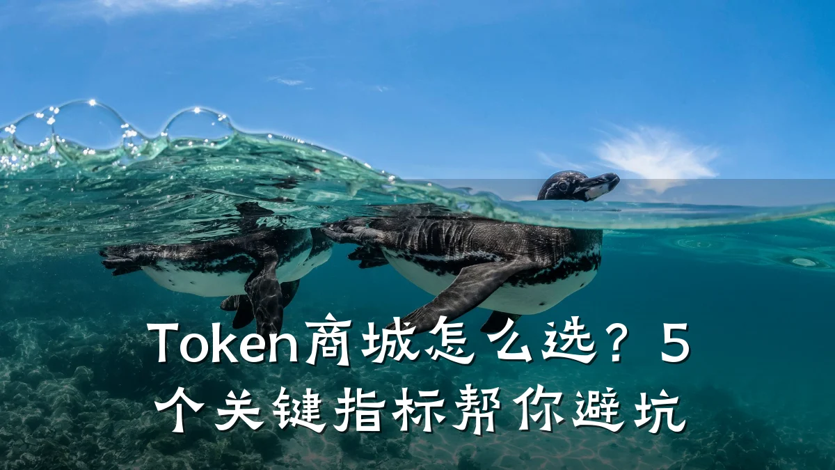 Token商城怎么选？5个关键指标帮你避坑