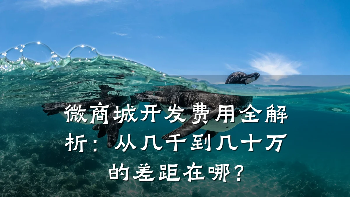 微商城开发费用全解析：从几千到几十万的差距在哪？