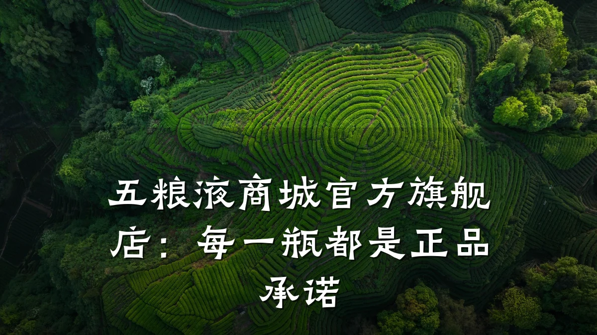 五粮液商城官方旗舰店:每一瓶都是正品承诺
