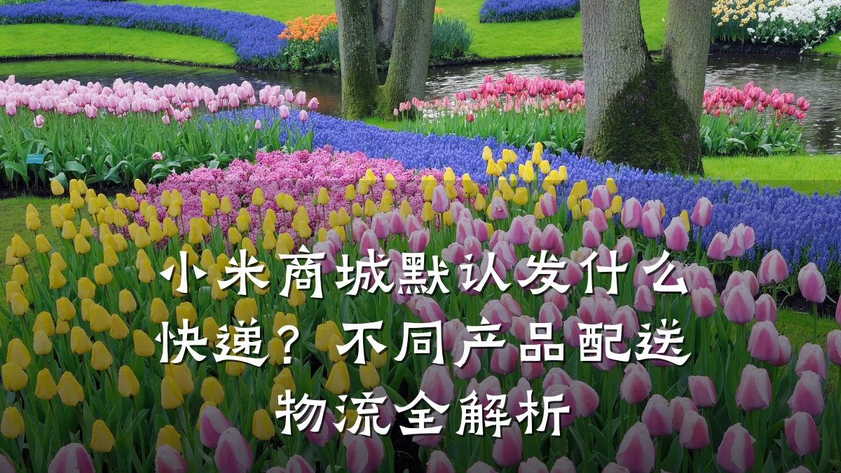 小米商城默认发什么快递？不同产品配送物流全解析