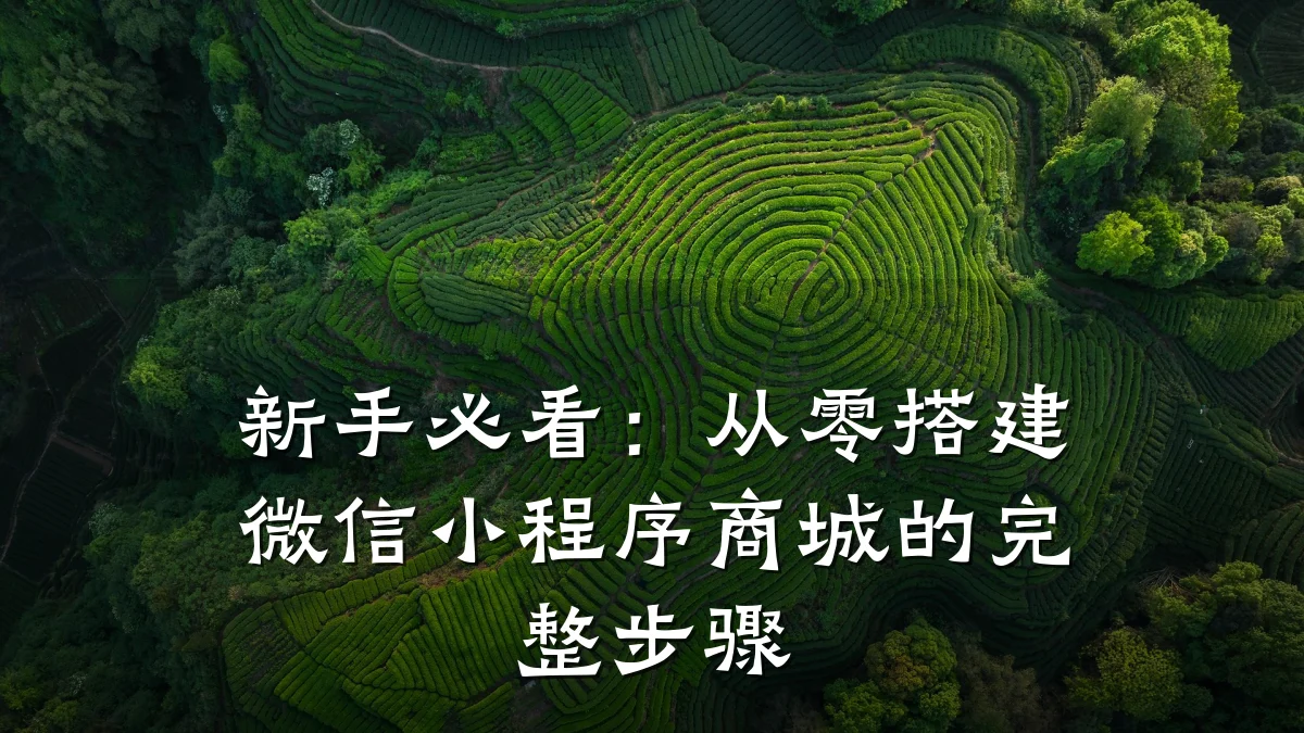 新手必看：从零搭建微信小程序商城的完整步骤