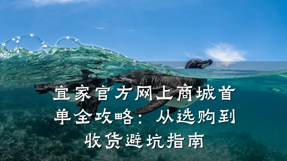 宜家官方网上商城首单全攻略：从选购到收货避坑指南