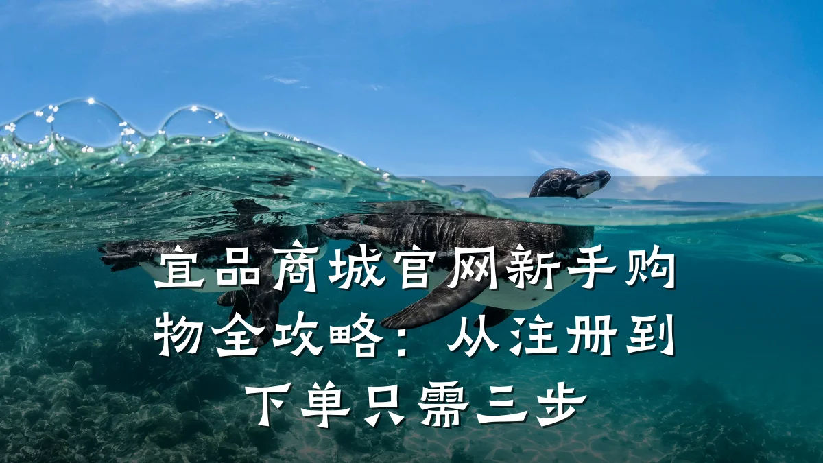 宜品商城官网新手购物全攻略:从注册到下单只需三步