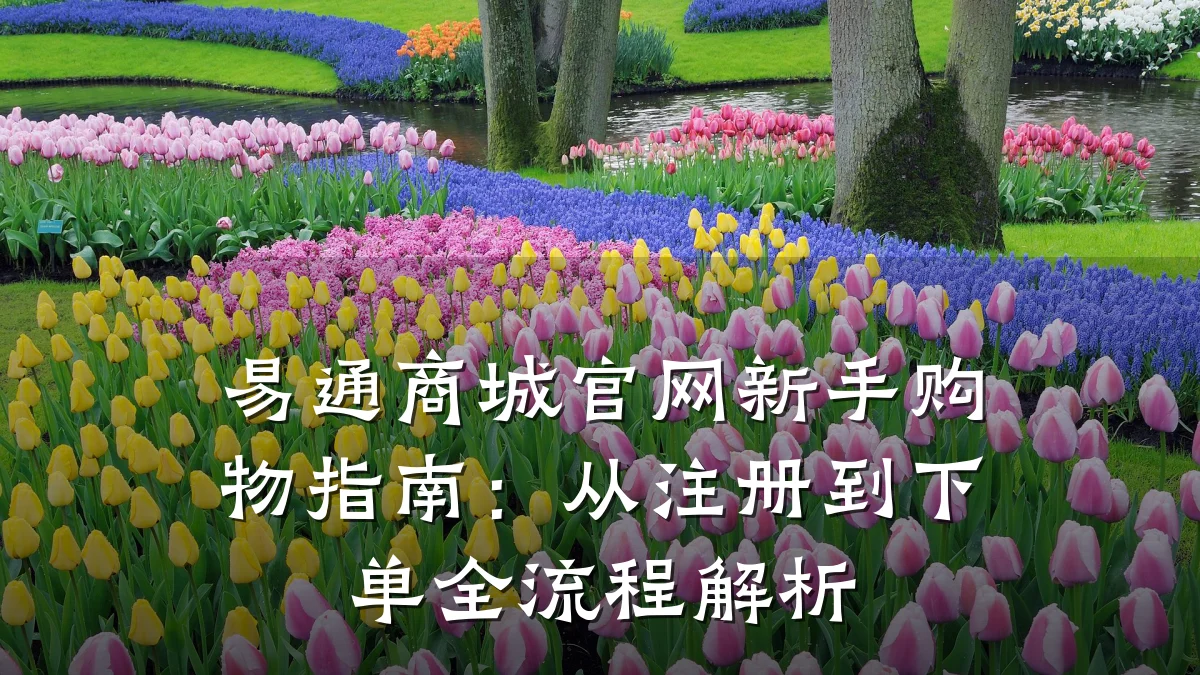 易通商城官网新手购物指南:从注册到下单全流程解析