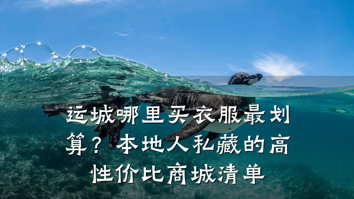 运城哪里买衣服最划算?本地人私藏的高性价比商城清单