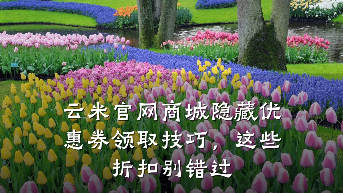 云米官网商城隐藏优惠券领取技巧,这些折扣别错过