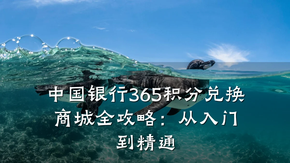 中国银行365积分兑换商城全攻略:从入门到精通