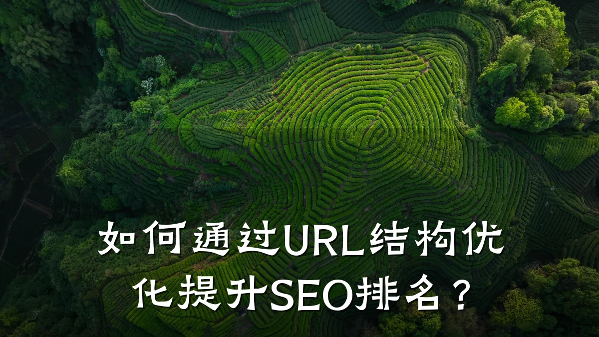 如何通过URL结构优化提升SEO排名?