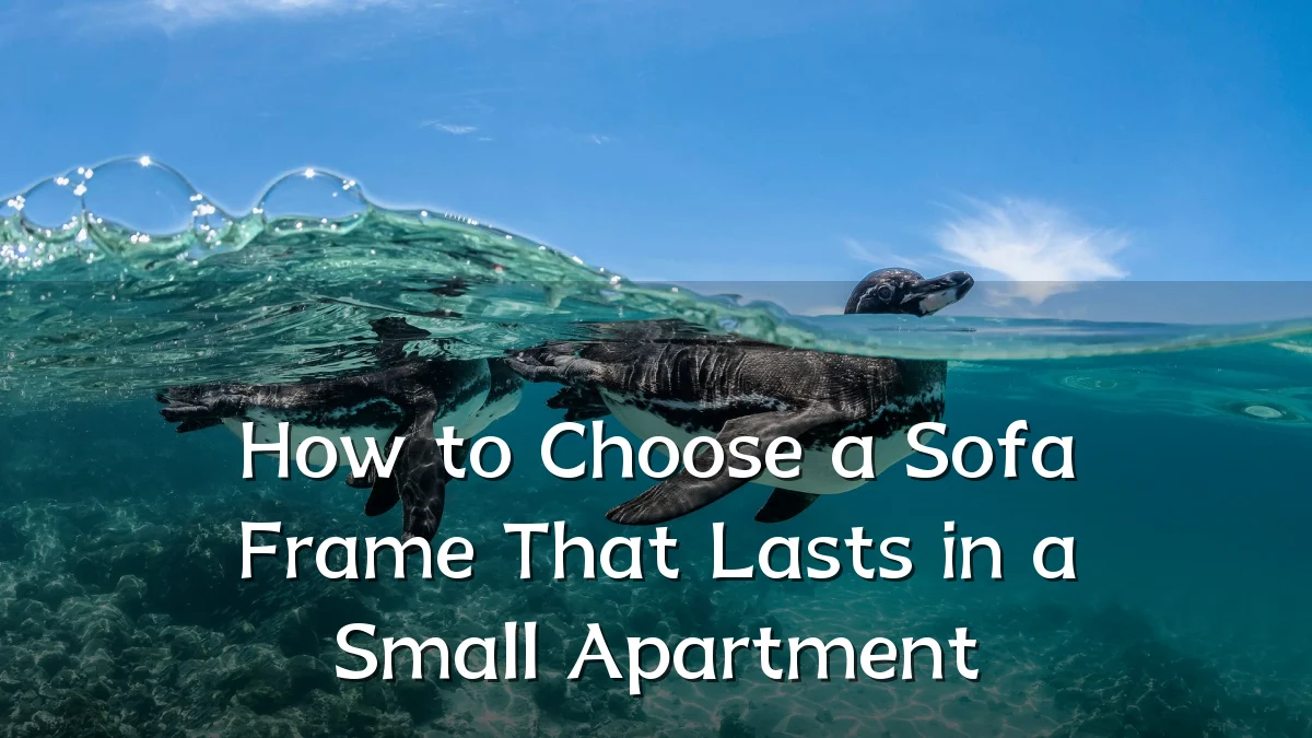 How to Choose a Sofa Frame That Lasts in a Small Apartment