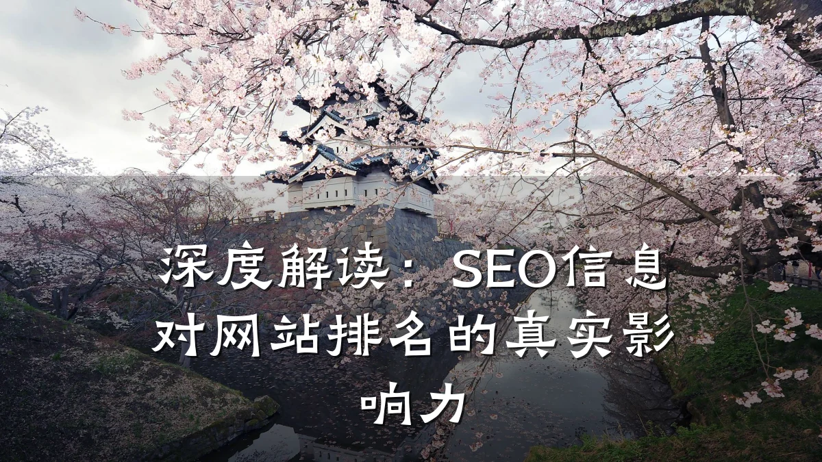 深度解读:SEO信息对网站排名的真实影响力