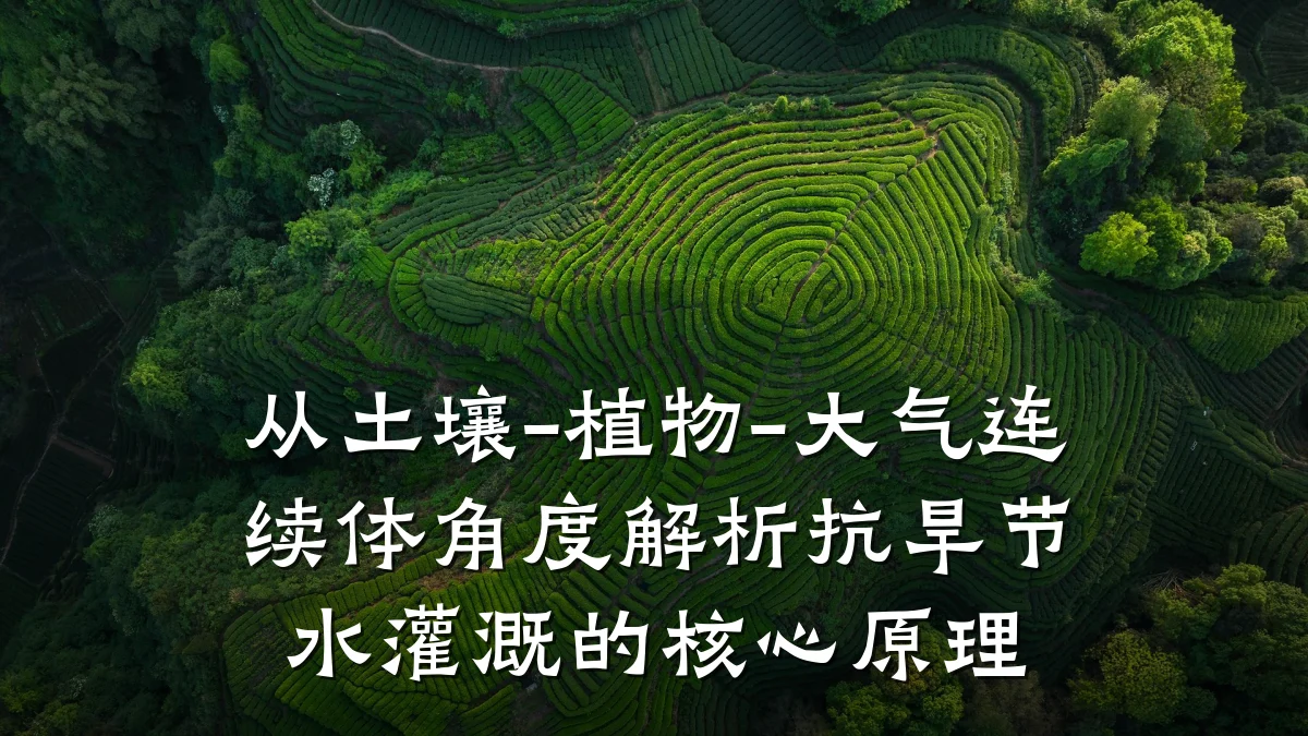 从土壤-植物-大气连续体角度解析抗旱节水灌溉的核心原理