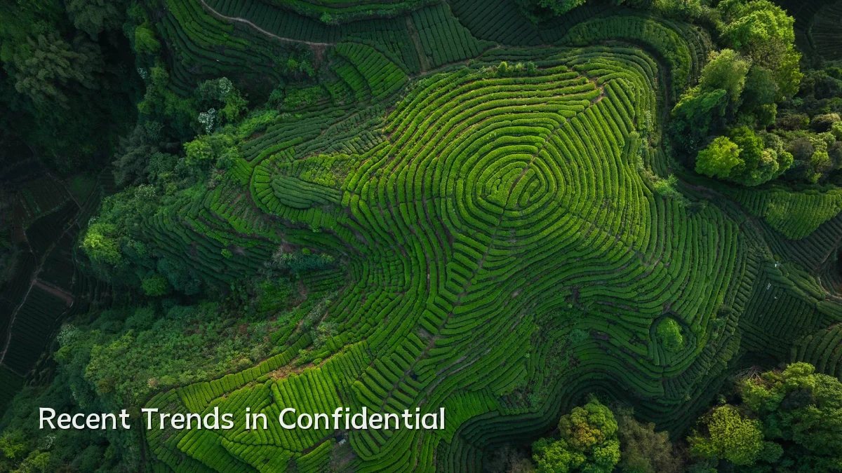Recent Trends in Confidential