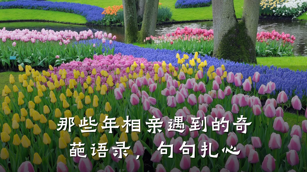 那些年相亲遇到的奇葩语录,句句扎心