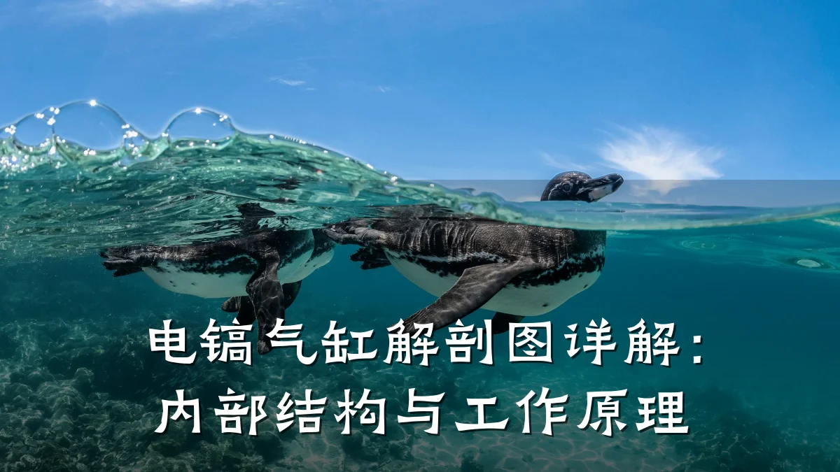 电镐气缸解剖图详解:内部结构与工作原理