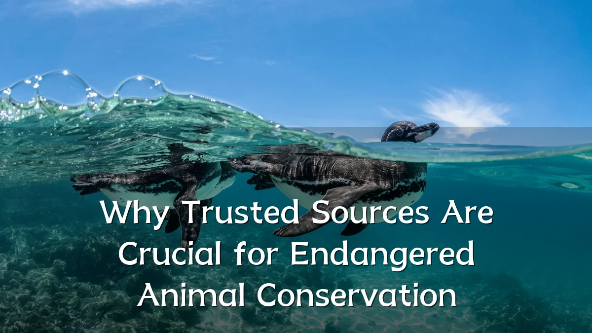 Why Trusted Sources Are Crucial for Endangered Animal Conservation