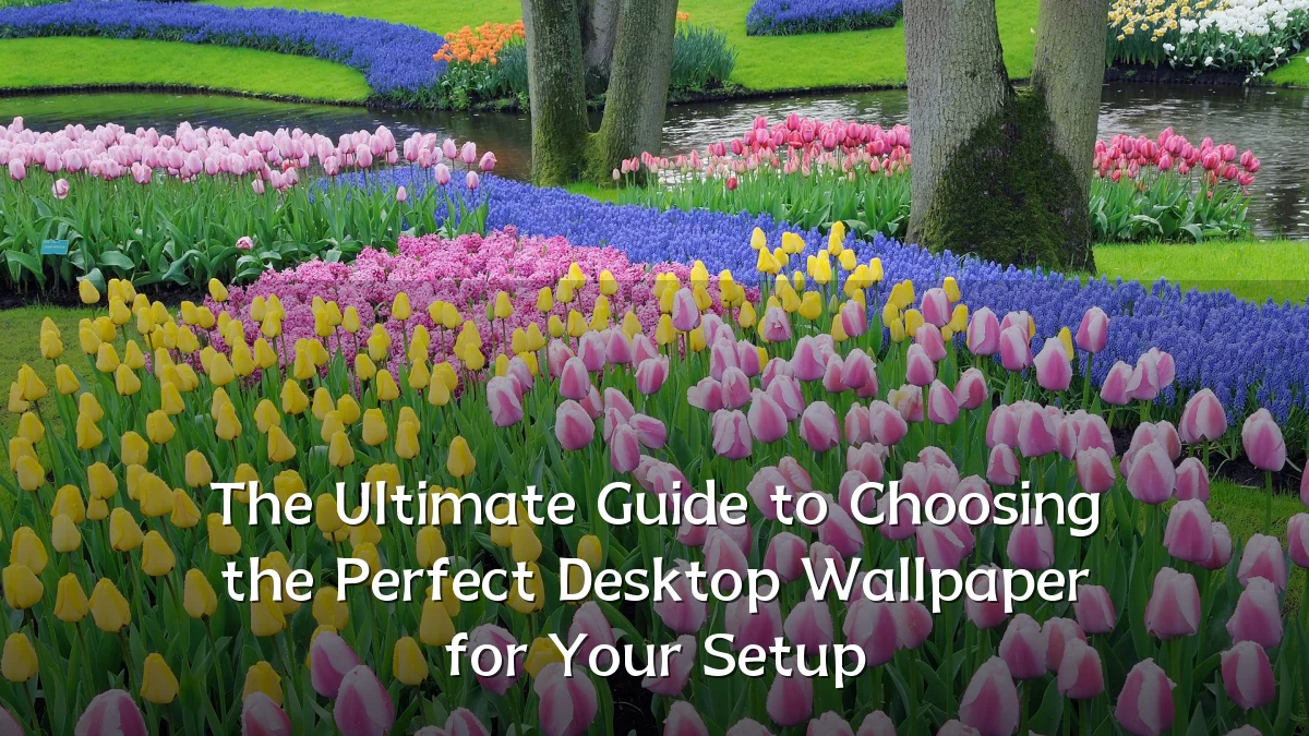 The Ultimate Guide to Choosing the Perfect Desktop Wallpaper for Your Setup