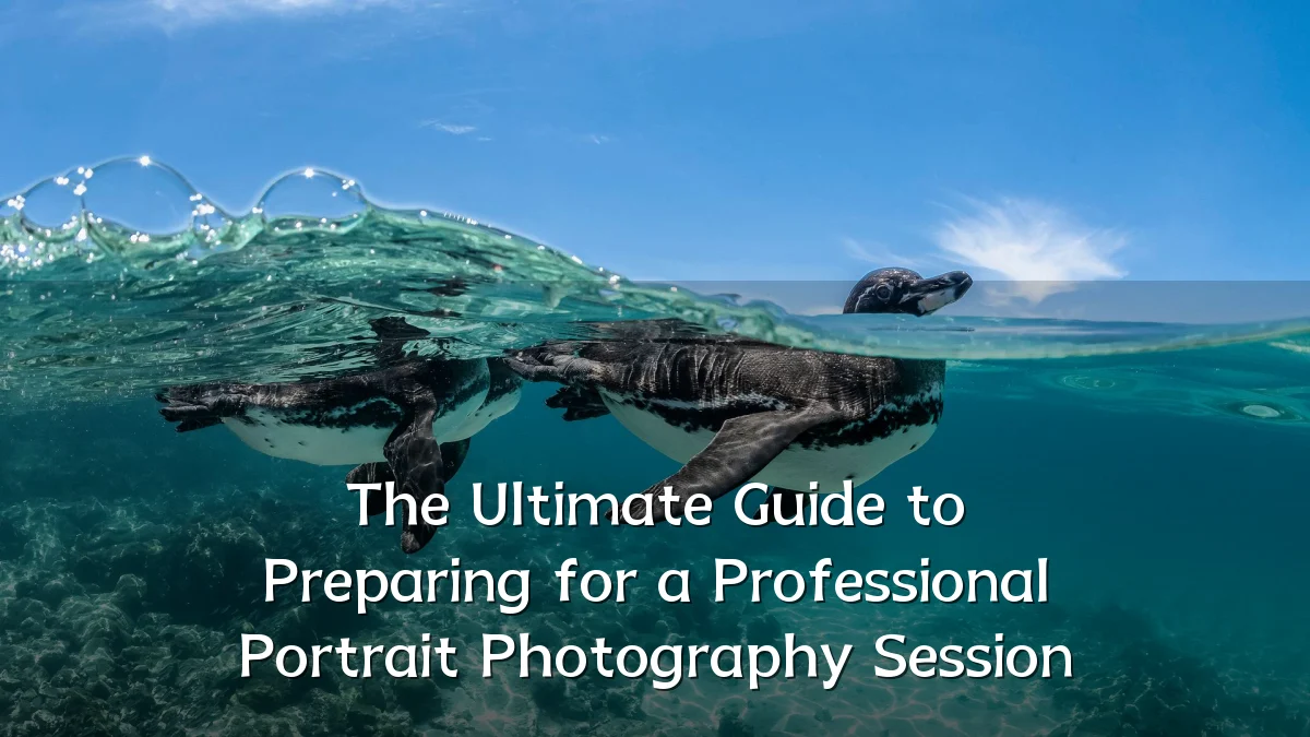 The Ultimate Guide to Preparing for a Professional Portrait Photography Session