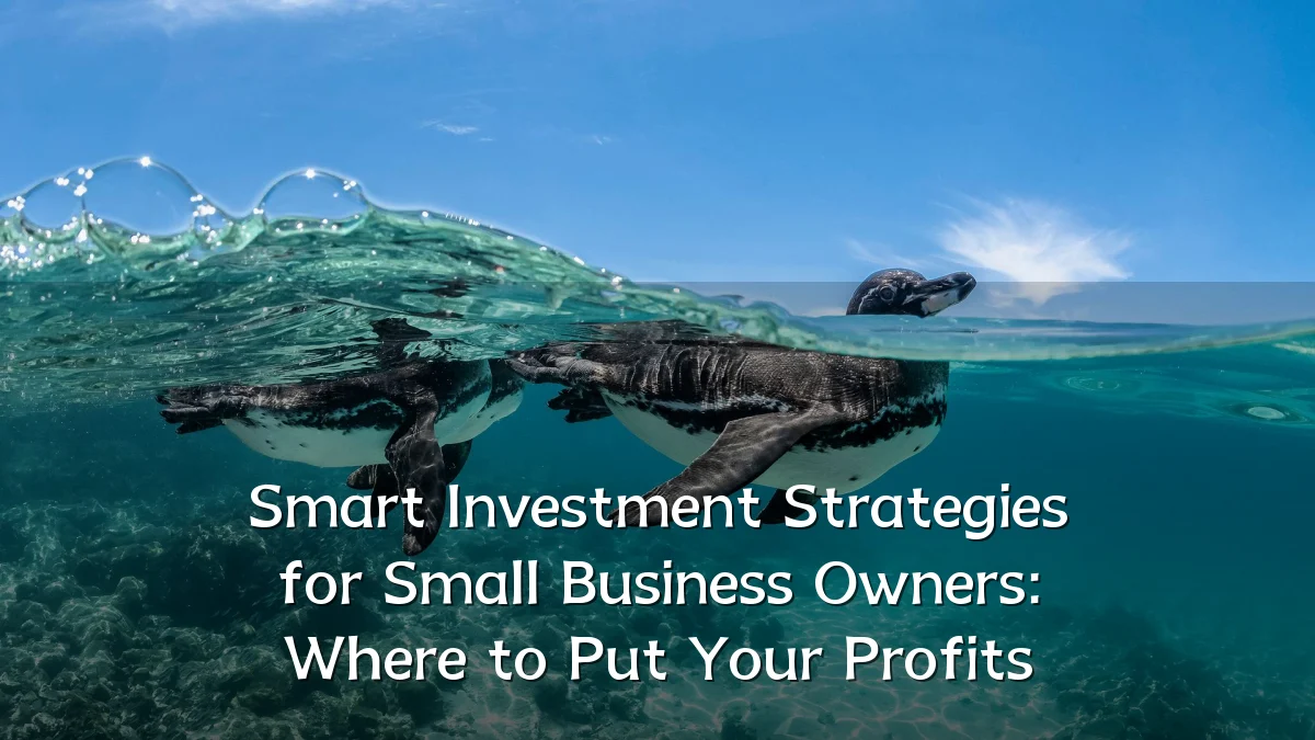 Smart Investment Strategies for Small Business Owners: Where to Put Your Profits