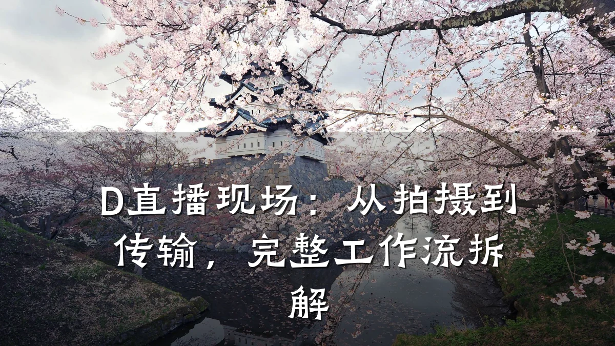 D直播现场:从拍摄到传输,完整工作流拆解