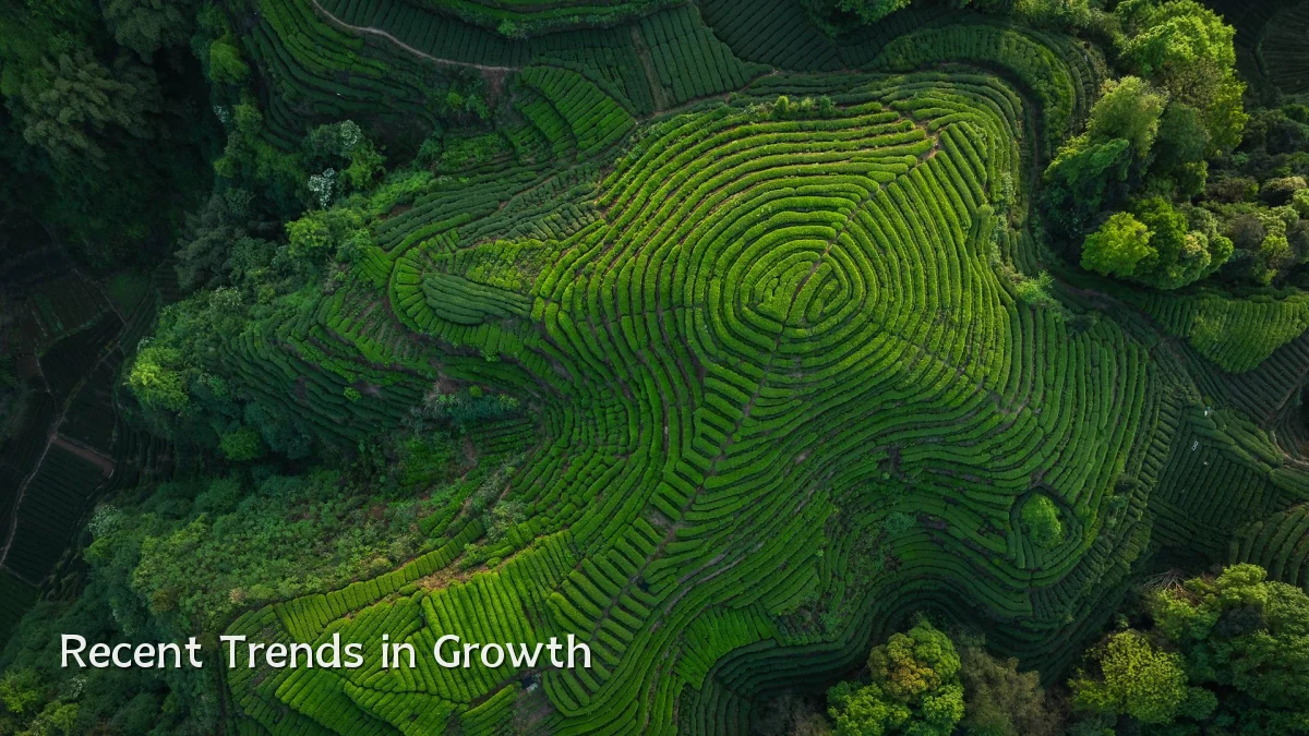 Recent Trends in Growth