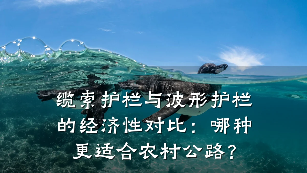 缆索护栏与波形护栏的经济性对比：哪种更适合农村公路？