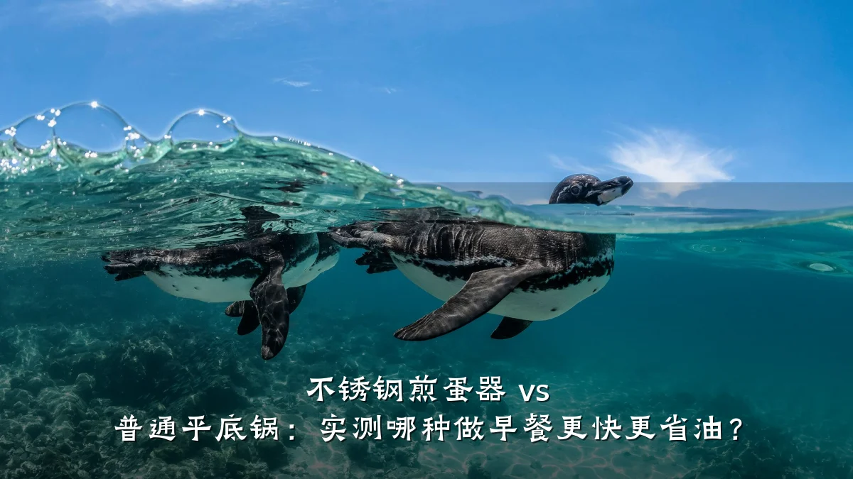 不锈钢煎蛋器 vs 普通平底锅:实测哪种做早餐更快更省油?